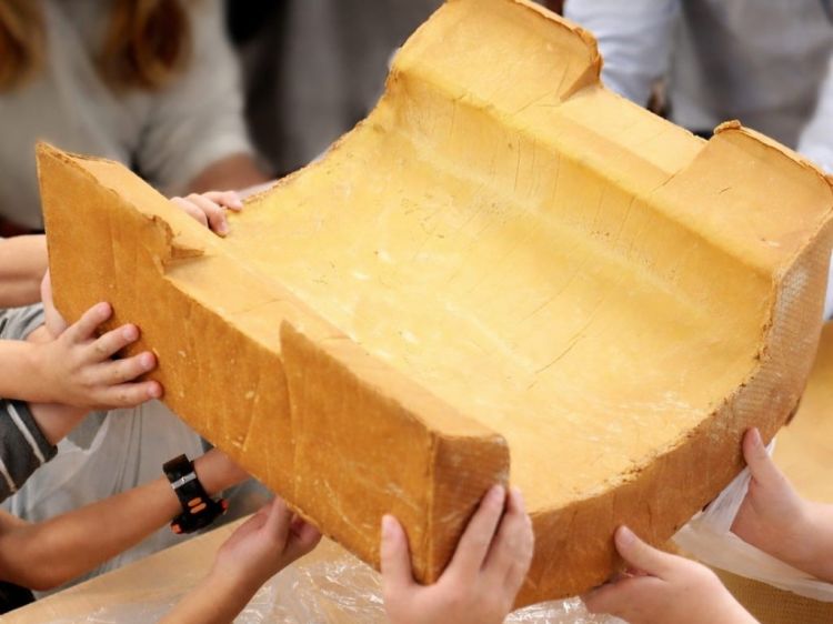 לצפות למקדש בכל החושים